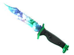 ★ Bowie Knife
