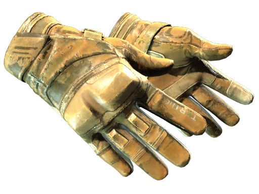★ Moto Gloves | Transport | BS